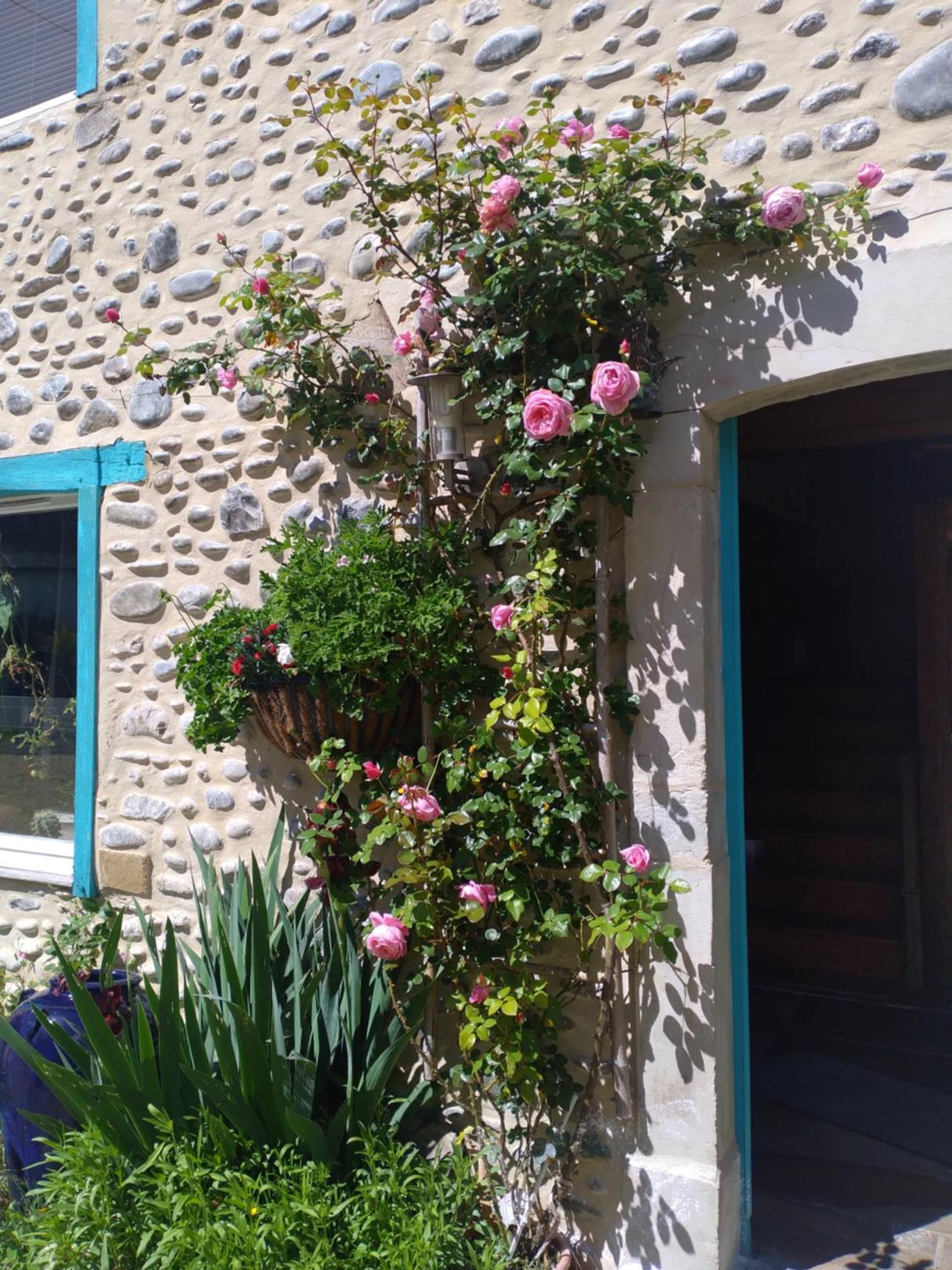 Maison Mignaquy Charritte-de-Bas Bagian luar foto
